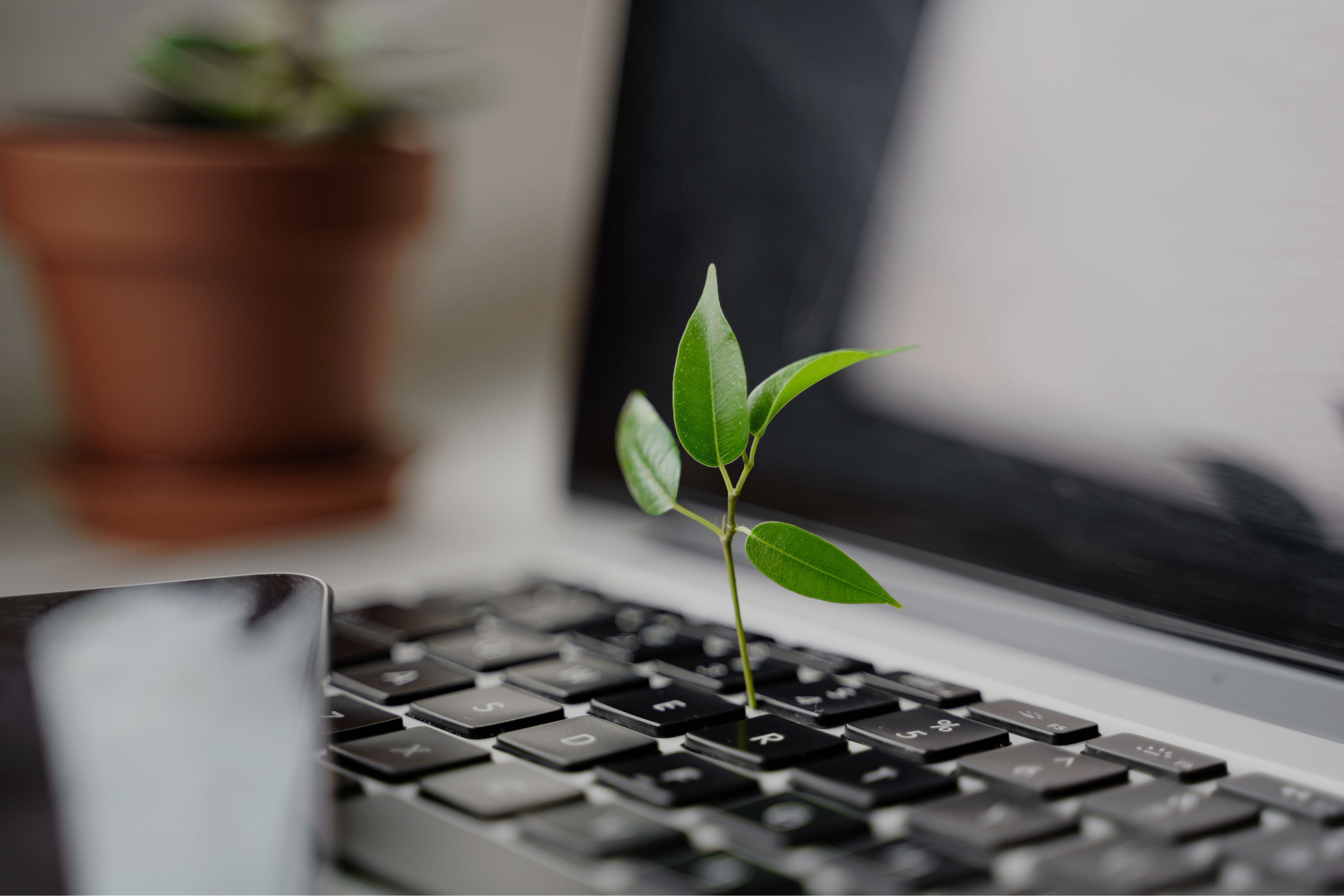 A small green plant sprouts directly from a laptop keyboard, symbolizing the integration of sustainability and business growth.